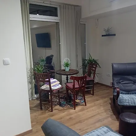 Apartment Dimitrijala 52