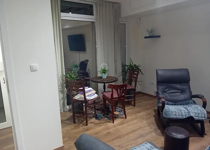 Apartament Dimitrijala 52