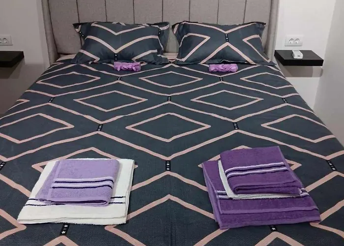 Apartament Dimitrijala 52